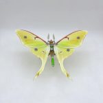 MetalDance (Metal Dance) Steampunk Moth Metal Puzzle Model Kit (6)