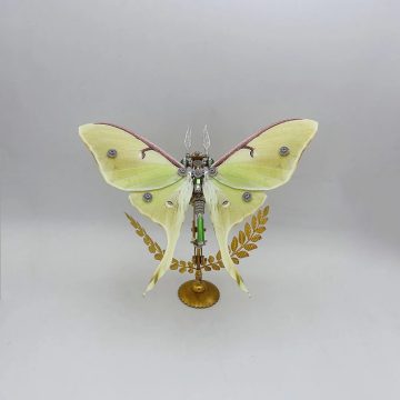 Steampunk Moth Metal Puzzle Model Kit