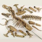 MetalDance (Metal Dance) Tyrannosaurus Rex Skeleton Model (4)