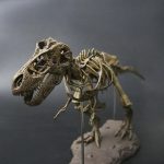 MetalDance (Metal Dance) Tyrannosaurus Rex Skeleton Model (4)