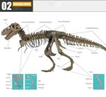 MetalDance (Metal Dance) Tyrannosaurus Rex Skeleton Model (4)